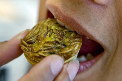 Erstmals in Deutschland: Metro startet Verkauf von Mehlwurm-Nudeln