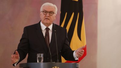 Steinmeier: Mehr Bürger sollen „die Politik zum Beruf machen“