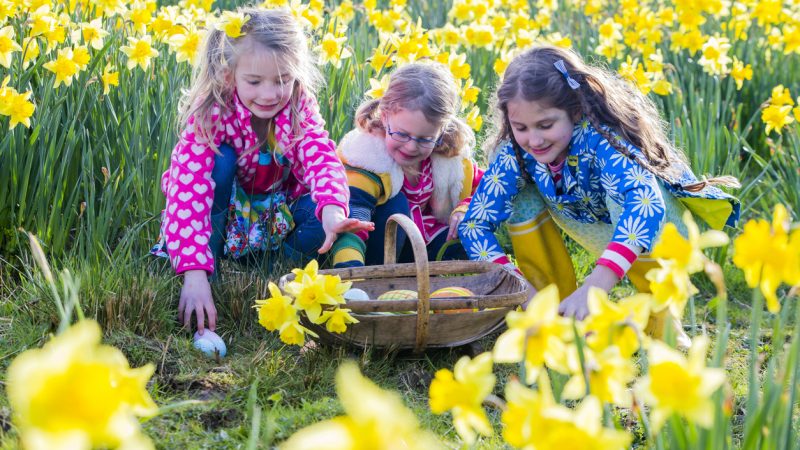 AWO Einrichtung ersetzt Osterfest durch irisches Heiligenfest – Elternschaft schockiert