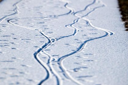 Mit einer eiskalten Nacht geht es ins Frühjahr