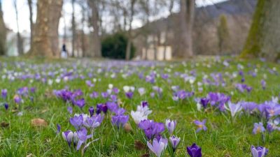 In den nächsten Tagen Schmuddelwetter statt Frühlingsgefühle