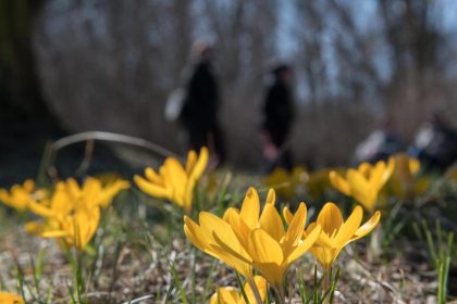 Nach Schnee an Ostern – mit über 20 Grad in die neue Woche
