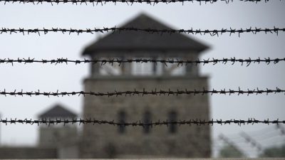 „Erneute Demütigung“ der KZ-Überlebenden: FPÖ bei Mauthausen-Gedenkfeier unerwünscht