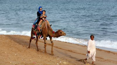 Wissenschaftler entdecken riesige „Todeszone“ im Golf von Oman