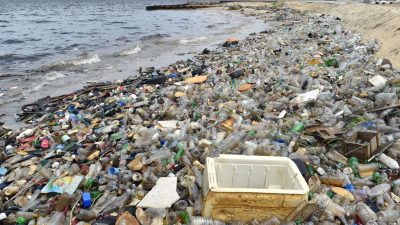 Grünen-Chef fordert Steuer auf Wegwerfplastik: „Bald mehr Plastik im Meer als Fische“