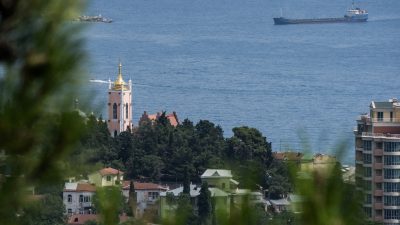 AfD-Abgeordnete reisen auf die Krim zum Wirtschaftsforum