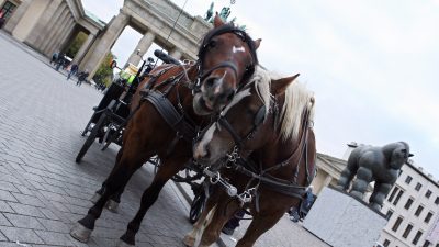 Gericht hebt Fahrverbot für Kutschen vor Brandenburger Tor vorerst auf