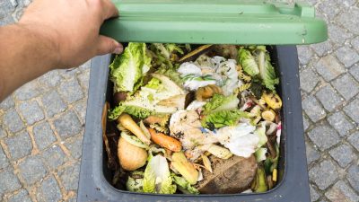 Kampf gegen Lebensmittelverschwendung: Hamburger Justizsenator will „Containern“ bundesweit legalisieren