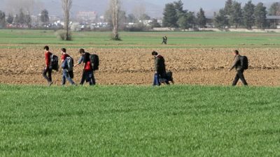 Neue Balkan-Einwanderungswelle: Migranten nutzen „Moscheen-Route“, um nach Mitteleuropa einzuwandern