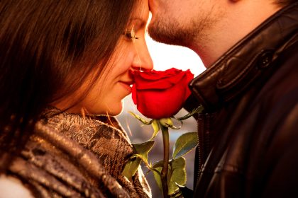 Der perfekten Blüte auf der Spur: Forscher entschlüsseln Erbgut der Rose