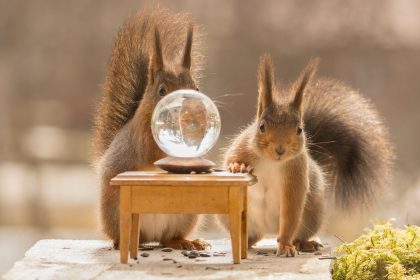 Ifo Geschäftsklimaindex leicht gefallen – Hat das wirklich etwas zu bedeuten? + 2 Satirevideos