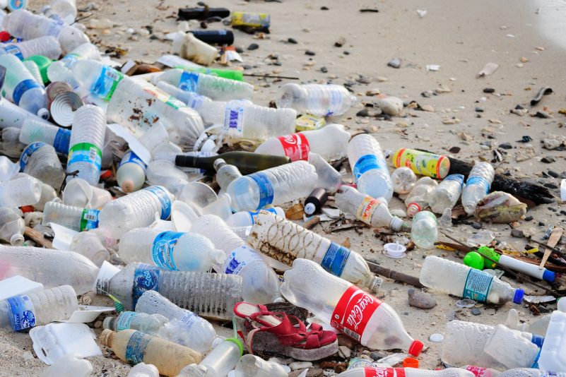 Forscher stellen durch Zufall Plastik fressendes Enzym her: Es verspeist auch PET-Flaschen