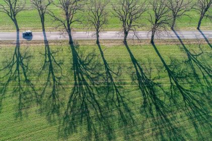 Ein Frühlingswind – Von Rainer Maria Rilke