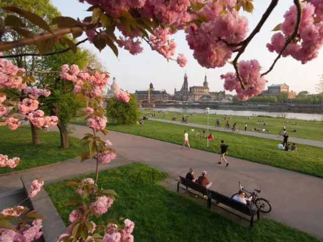Abendspaziergang am Ufer der Elbe in Dresden. Foto: Sebastian Kahnert/dpa