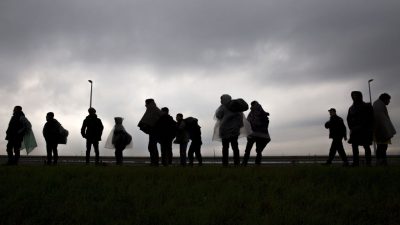 Österreich zur neuen Balkan-Flüchtlingsroute: „Wenn es notwendig ist, werden wir die Grenze dicht machen“