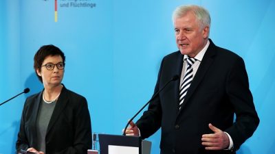 FDP und AfD pochen in BAMF-Skandal auf Untersuchungsausschuss – Ergebnisse gibt es dann erst in zwei Jahren