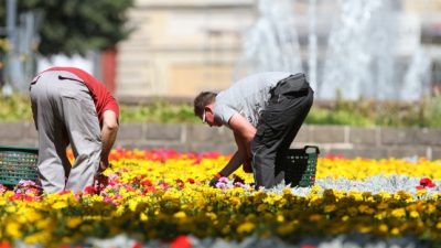 Eine Arbeitsstunde in Deutschland siebenmal teurer als in Bulgarien