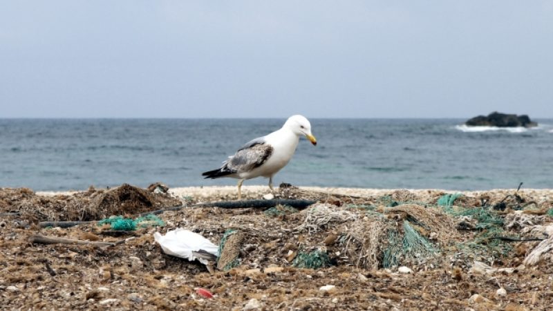 Mangelware Mülldeponie – Entsorgungsnotstand droht