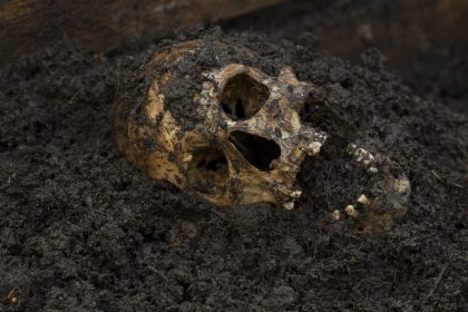 Dänemark: Tausende Knochen von Germanen entdeckt – und es waren nicht die Römer