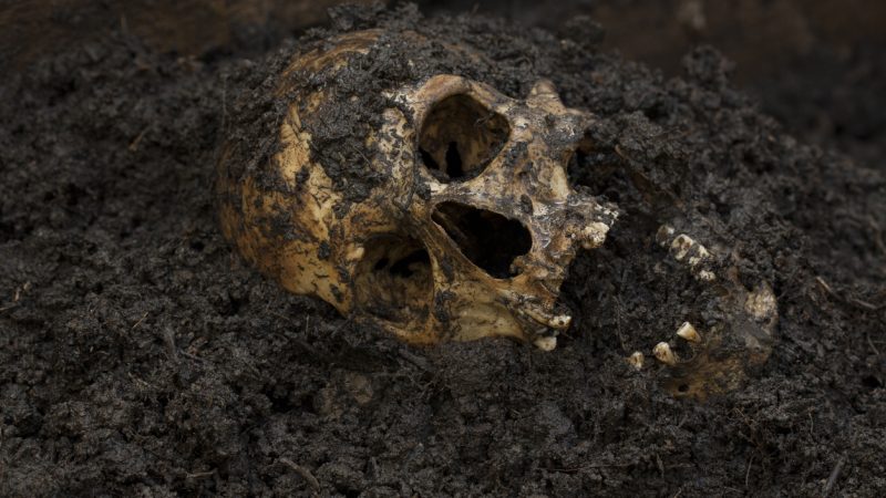 Dänemark: Tausende Knochen von Germanen entdeckt – und es waren nicht die Römer
