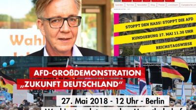 AfD-Großdemo Berlin: Linken-Fraktionschef ruft zum Widerstand auf – Antifa will es „Mob“ zeigen