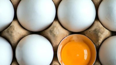 Rückruf von Eiern wegen Salmonellen-Befalls