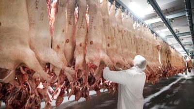 „Premium“ oder „Stallhaltung“: Fleischprodukte werden gekennzeichnet
