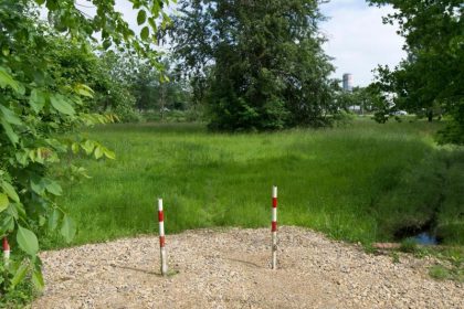 Polizei: Hundeattacke auf Baby “erlogen” – Vater verhaftet