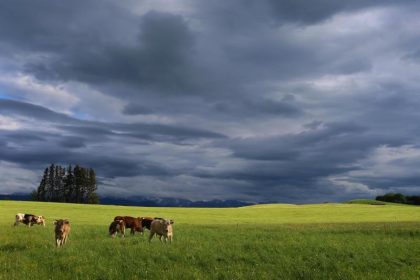 Im Süden bleibt es regnerisch, im Norden scheint die Sonne