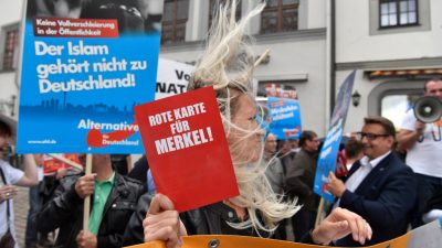 Wahlumfrage Sachsen: CDU stürzt ab – AfD zweitstärkste Kraft mit 24 Prozent – SPD bei 9 Prozent