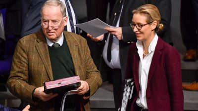 Pressekonferenz: Gauland und Weidel äußern sich zu Merkels Rückzug