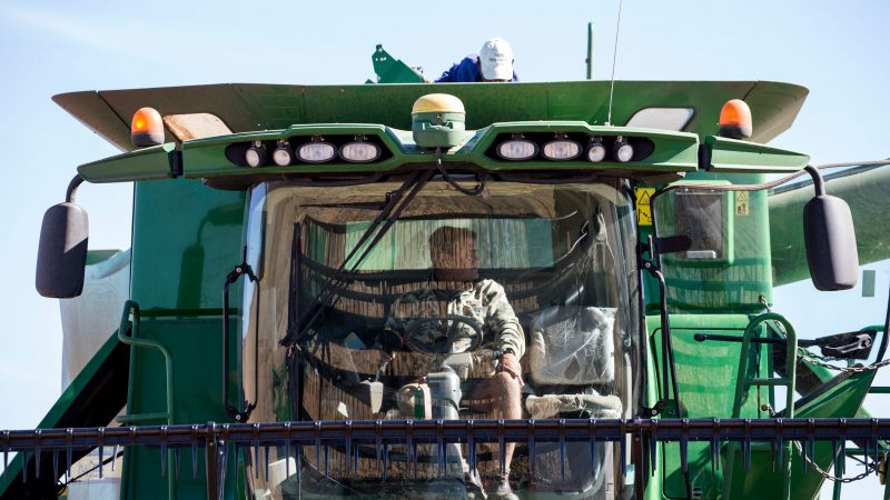 Südafrikas Buren wollen dem Tod entgehen – Russland bietet Umsiedlung an