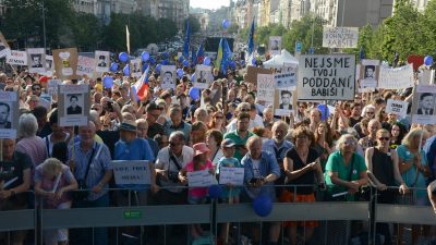 Regierungsbildung in Tschechien: Proteste gegen Milliardär und Ex-Kommunist Babis