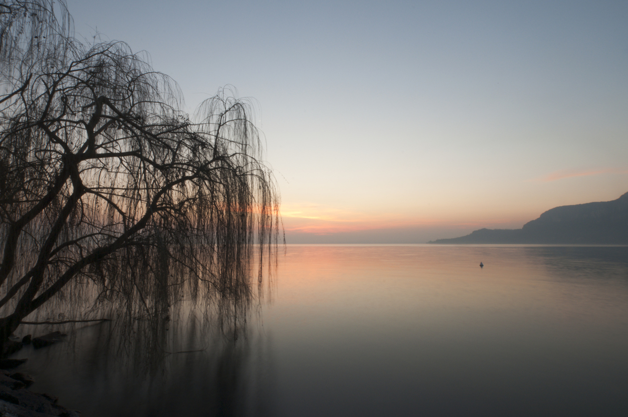 Alles ist eitel Von Andreas Gryphius