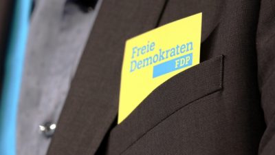 FDP sieht in Streitereien der Regierung zunehmend ein Konjunkturrisiko