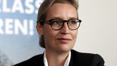 AfD-Fraktionschefin Alice Weidel übernimmt Landesvorsitz in Baden-Württemberg