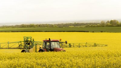Umweltschutz und EU-Agrarfinanzierung: Experten fordern Abbau der EU-Direktzahlungen an Bauern
