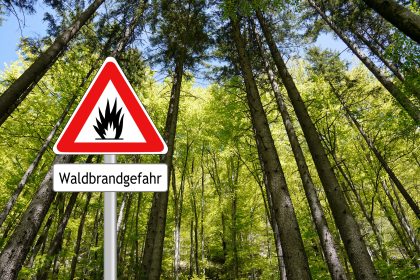 Trockenheit in Deutschland: Waldbrandgefahr und drohende Ernte-Einbußen