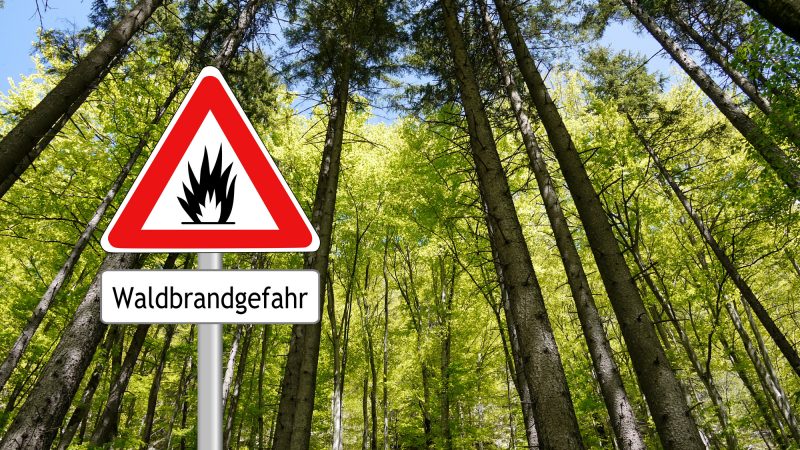 Wegen extremer Trockenheit dringt FDP auf Sperrung von Wäldern