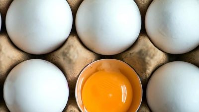 73 000 Fipronil-Eier in sechs Bundesländern in Verkauf gelangt