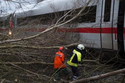 Vorsorge gegen Stürme – Bahn intensiviert in Baumbeschnitt