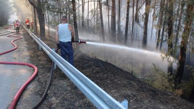Feuerexperte: Deutschland nicht ausreichend gegen Waldbrände gerüstet