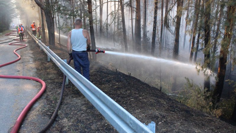 Einsatzkräfte bringen Waldbrand bei Fichtenwalde in Brandenburg unter Kontrolle
