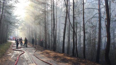Helfer kämpfen die Nacht über gegen Waldbrand bei Potsdam – Evakuierung von Fichtenwalde vorerst nicht nötig