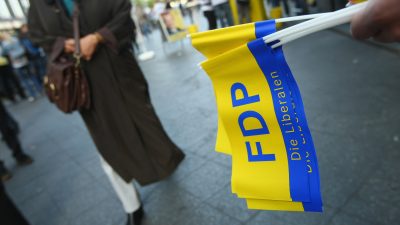 FDP Politiker: Spitzensteuersätze überlasten Bürger – so entsteht kein Zusammenhalt