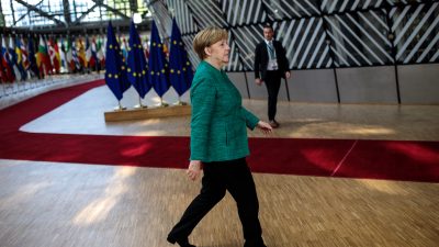 Kanzlerin gibt Extremisten-Chef der Grauen Wölfe die Hand – HuffPost: „Für Merkel war das ein Moment der Schande“