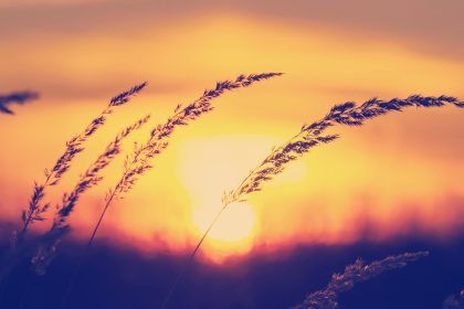 An das Herz – Von Gottfried Keller