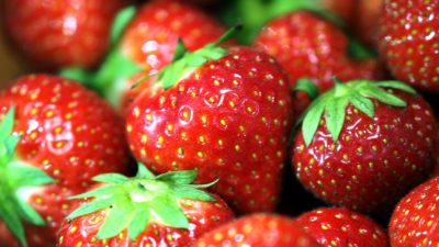 Mehr Erdbeeren auf deutschen Feldern