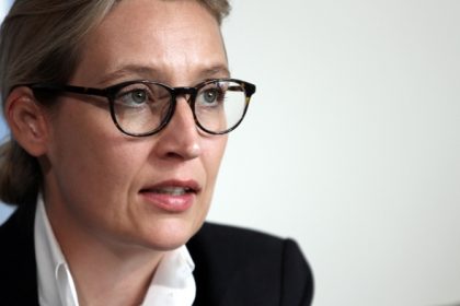 AfD nimmt drohende Beobachtung ernst: Sonderermittler