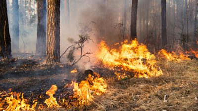Ungewöhnlich: Mehr als hundert Waldbrände im Norden Spaniens